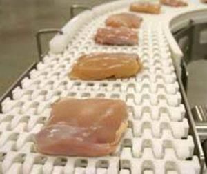 China Supplier Inclining White Food Grade PVC Belt Conveyor Fresh Meat Transport