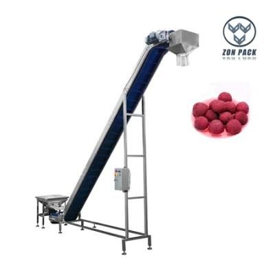 Inclined Chain Belt Conveyor for Pakcing System of Vegetable/Fruit/Meat/Frozen Food