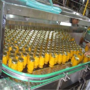 Plastic Flexible Chain Conveyor Belt for Beverage Manufacture