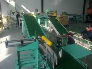 Belt/ Roller/ Stainless Steel Conveyor with CE