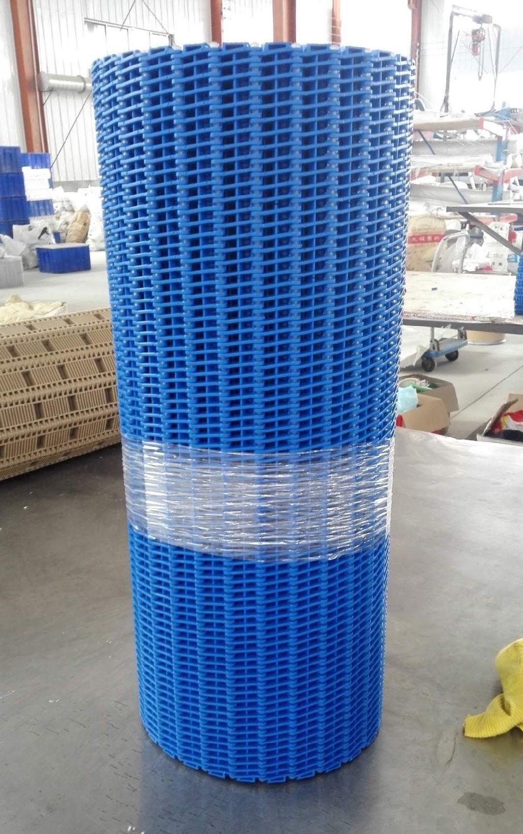 900 Series 27.2mm Pitch Flush Grid Belt for Food/Fruit/Vegetable Processing