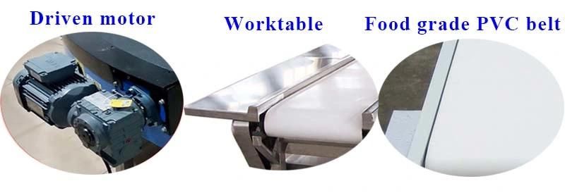 Straight Mobility Belt Food Conveyor System for Fish and Poultry Meat