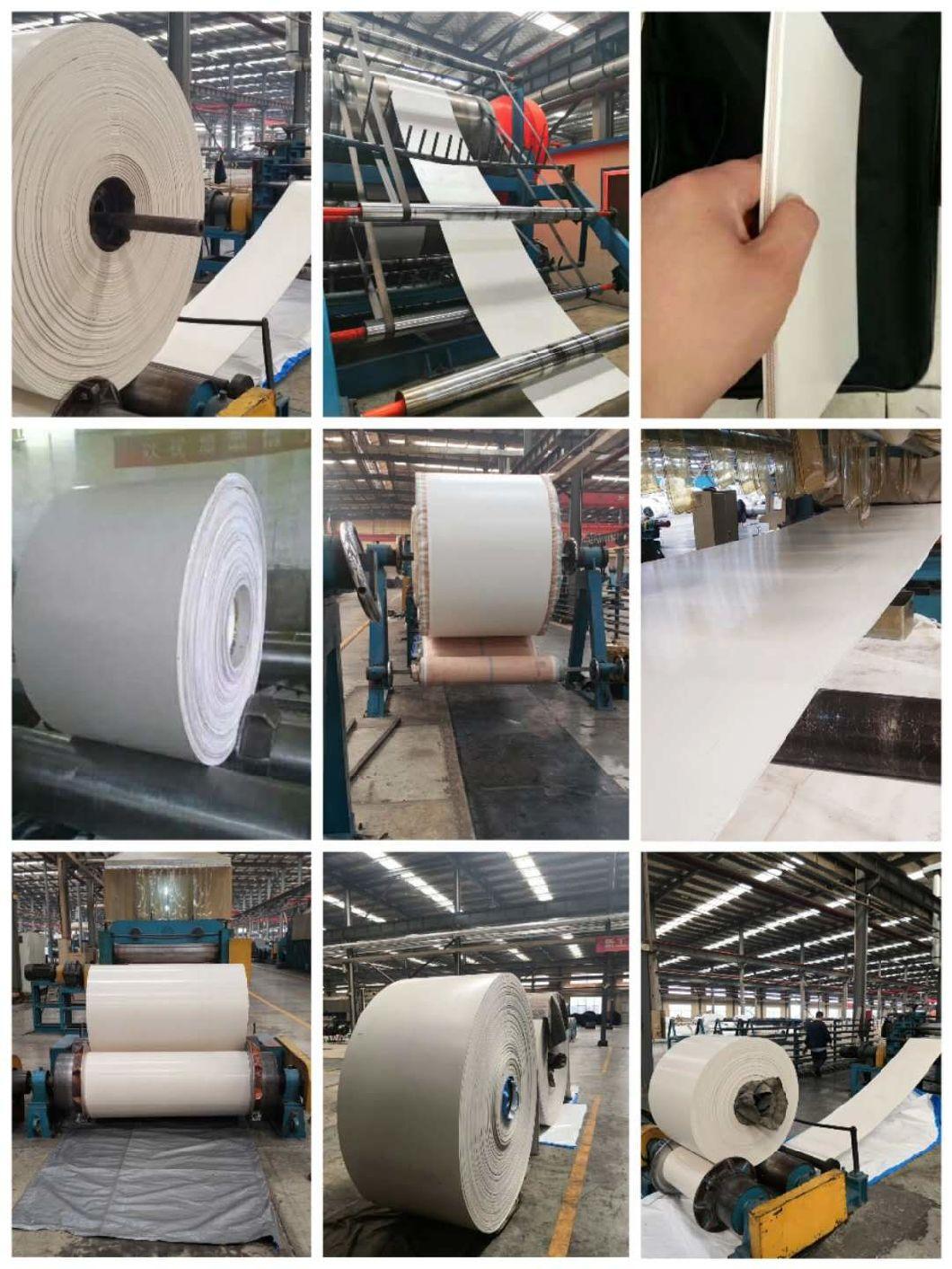 Ce and FDA Approved White Rubber Belting Conveyor for Sugar Mill