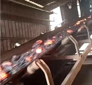 Fire-Proof Conveyor Belt Made of Advanced Rubber Raw Material