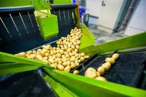 Food Conveyed by Rubber Conveyer Belt Made of Thailand Rubber Material