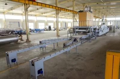 Manufacturer High Quality Instant Noddle Conveyor Belt System