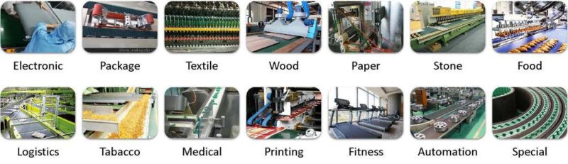 Thermosetting Plastic Powder/Process of Manufacturing Powder Paint/Electrostatic Powder /Manufacturing Process for Coating Powder Conveyor Belt