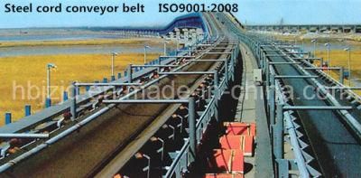 St1600 Steel Cord Conveyor Belt 1