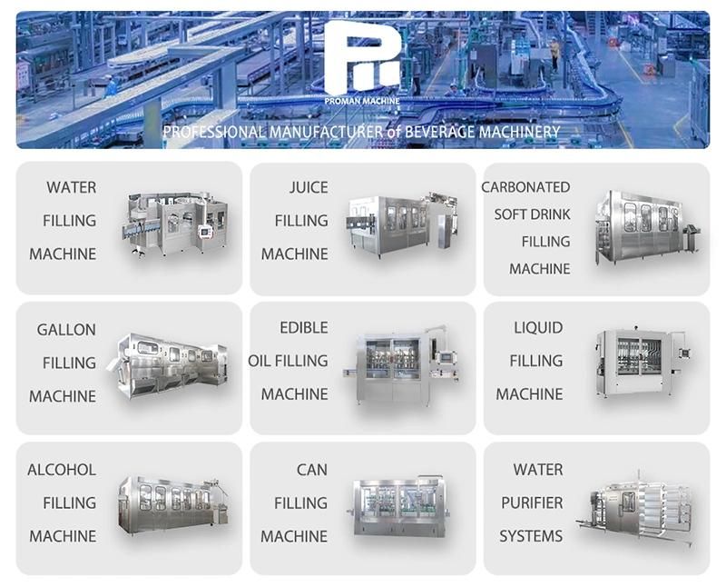 Water Beverage Production Line Customized Plastic Flat Chain Roller Conveyor for Filling Machinery