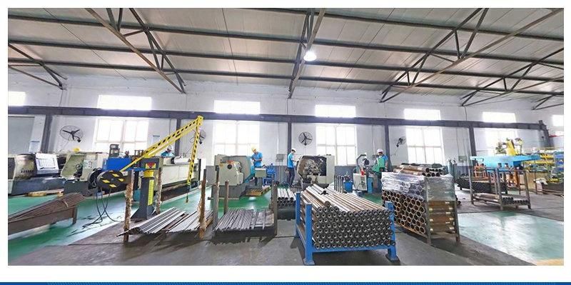 Conveying Belt Roller Conveyor for Production Line
