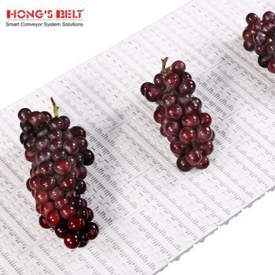 Hongsbelt HS-100B-HD-N Flush Grid Plastic Modular Plastic Conveyor Belt for Fruit and Vegetable Industry