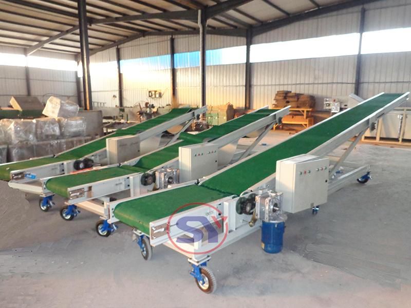 Sorting Table Flat Belt Conveyor of Food Distribution