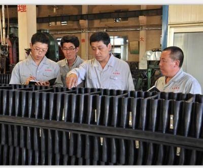 Special Hight Sidewall Conveyor Belt Steel Reinforced for Australia Market
