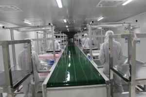 The Latest Cleanroom LED Pane Conveyor Belt Assembly Line
