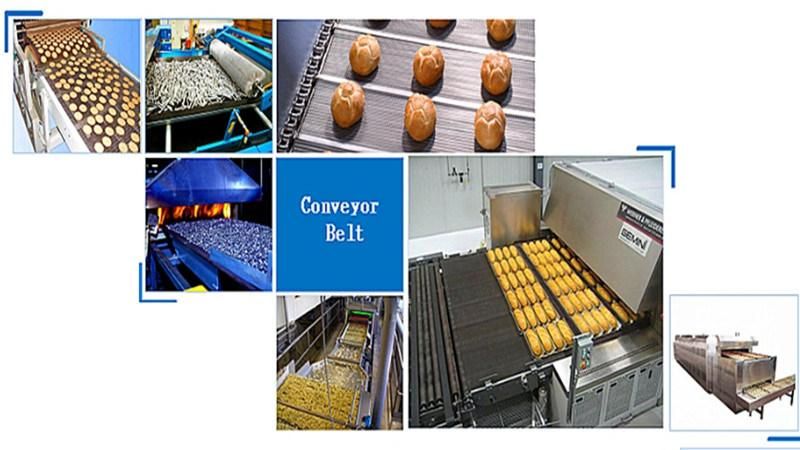 Food Grade Stainless Steel Wire Mesh Conveyor Belt