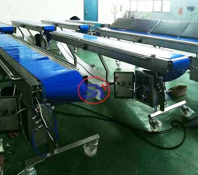 Heavy Load Capacity Horizontal Industrial Belt Conveyor for Frozon Fish Shrimp