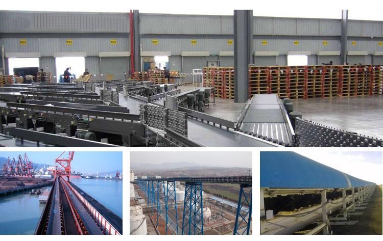 Transport/Crush Machine Round/Endless Nylon Conveyor Belt Conveyor