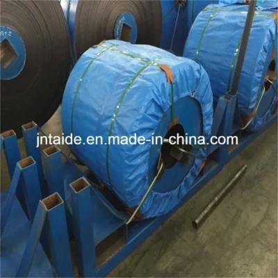 Nylon Conveyor Belt for Sale with The Best Quality