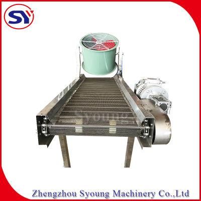 Smooth Running Wire Mesh Belt Dryer Conveyor for Fruit Processing Factory