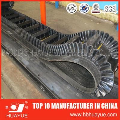 Sidewall Conveyor Belt for Printing Line, Logistics Line