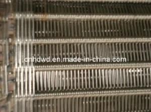 Wire Ring Mesh Belt with Center Plalates (ISO9001)
