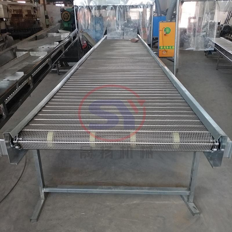 Galvanized Mesh Belt Conveyor for Medical and Cosmetic Industry