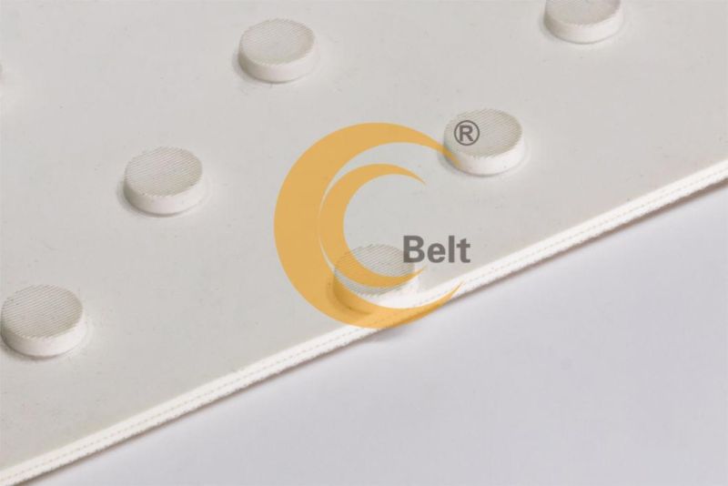 5.0mm conveyor belt white button profile for tobacco industry