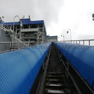 Conveyor Carrying Through Idlers for Copper Mining Duty Application