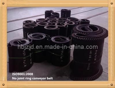 Xe-Sc-1000/6+1 Sidewall Corrugated Rubber Conveyor Belt
