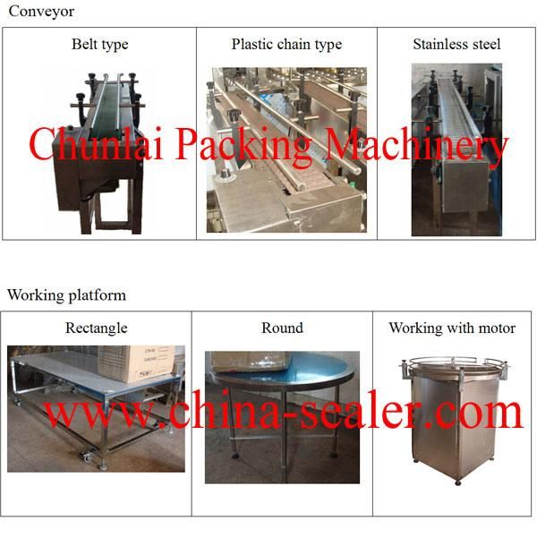 5 Meters Plastic Chain Conveyor