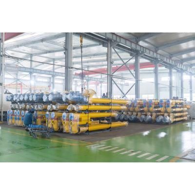 Dry ISO9001: 2000 Approved Sdmix Flexible Screw Conveyor Concrete Mixing Plant