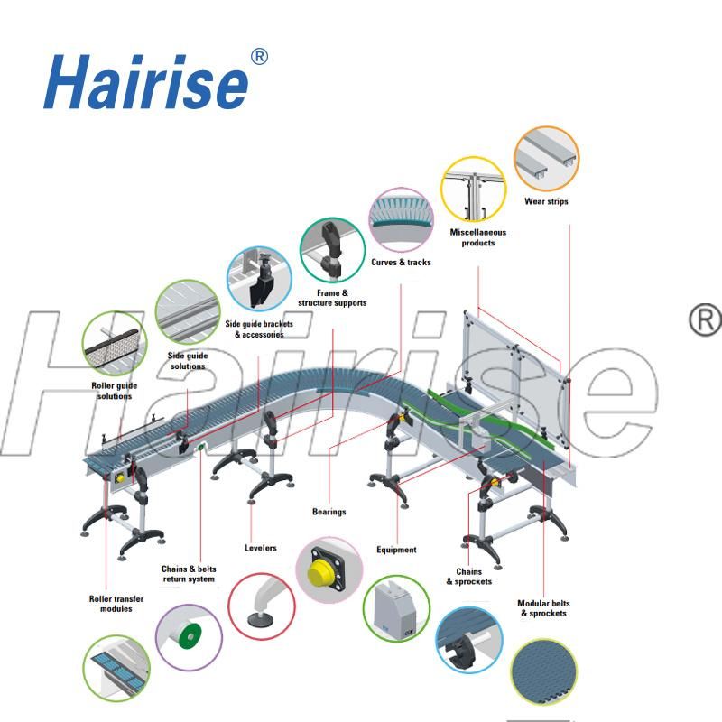 Hairise Food Grade Stainless Steel Chain Conveyor