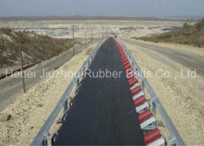 Steel Cord Conveyor Belts