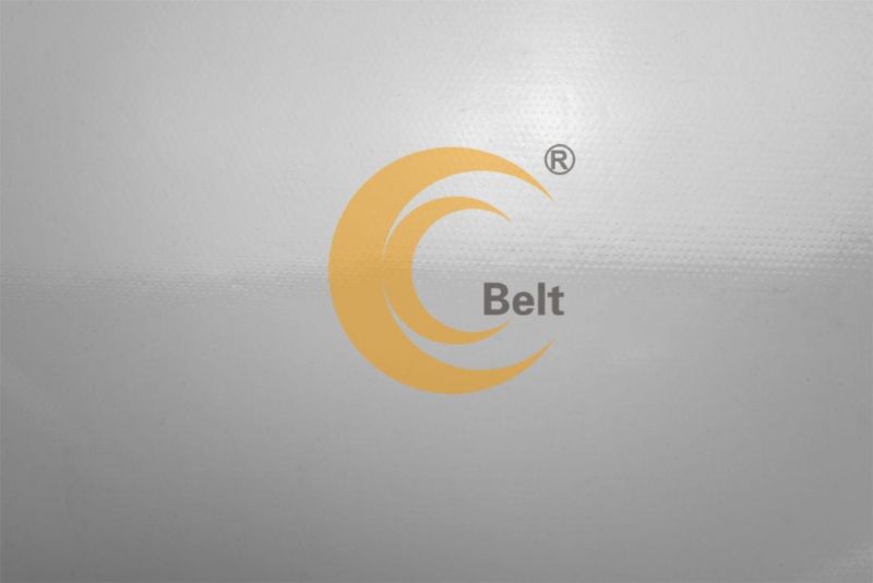 5mm white 3 plies white FDA conveyor belts for food industries industrial belts