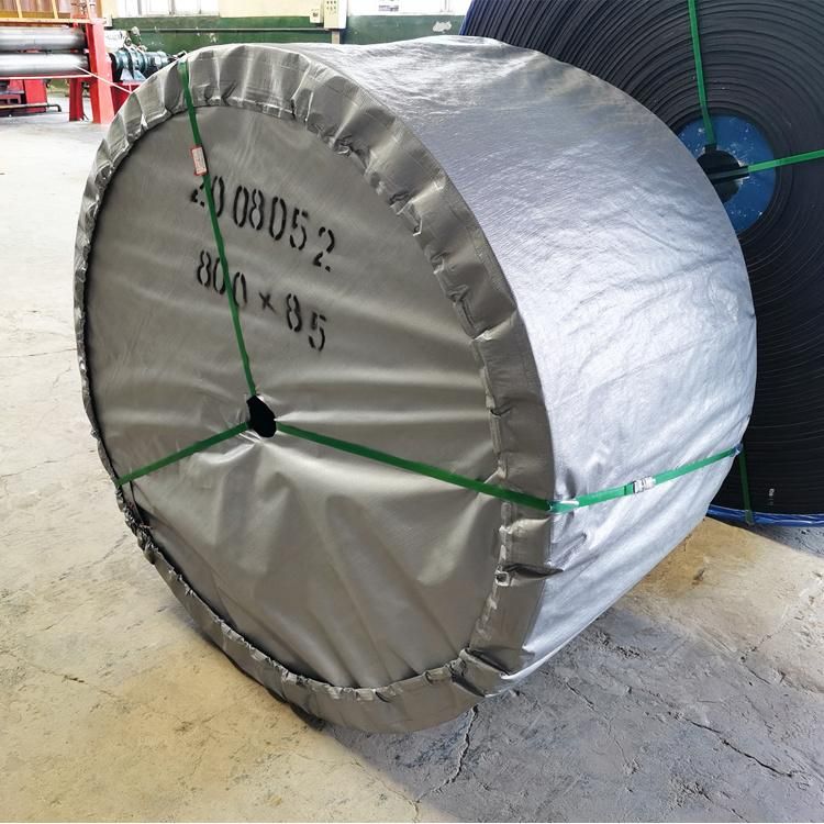 St630-St5400 Conveyor Belt with High Quality