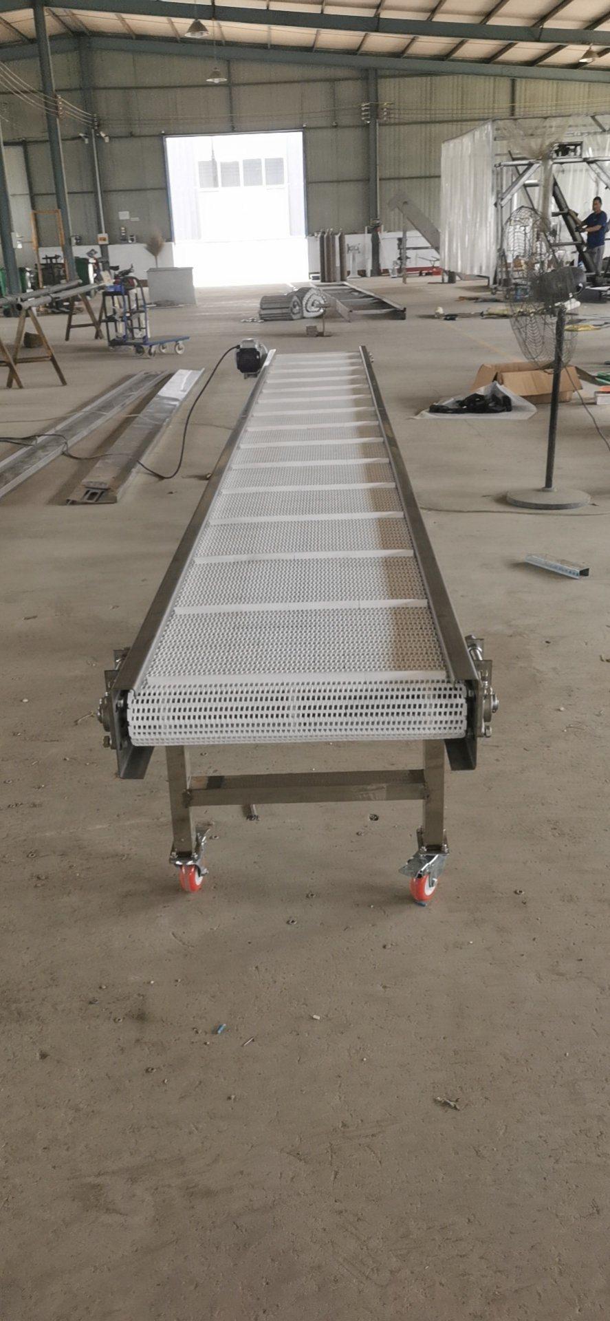 Customized Size Stainless Steel Wire Mesh Belt Conveyor Washing Vegetables