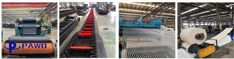 Steel Cord Conveyor Belt Mini Conveyor Belts Used in Conveyor System