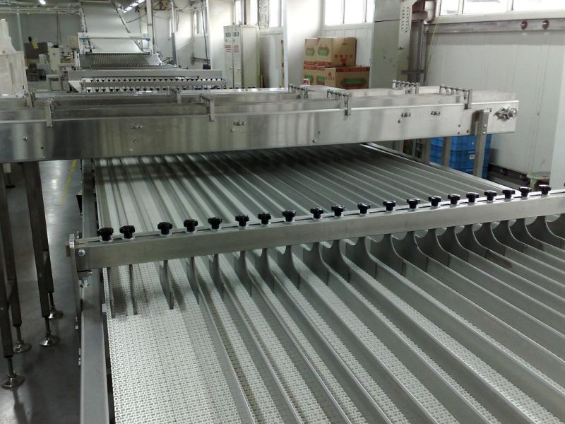 Steel Roller Belt Conveyor System for Carton/Box Transfer