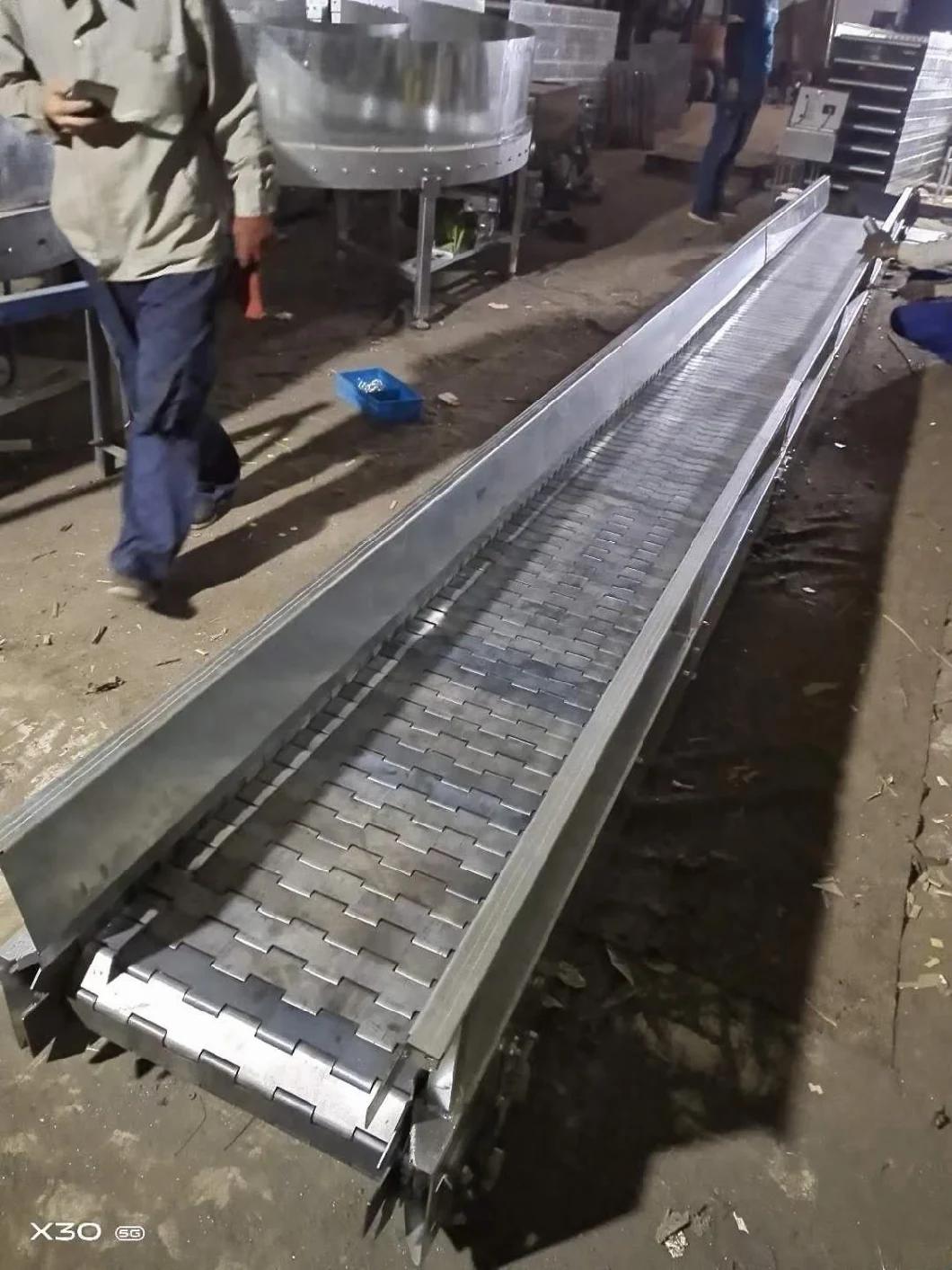 Stainless Steel Conveyor Belt for Cleaning, Cooling and Drying Line