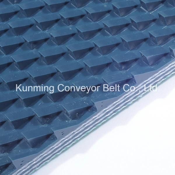 Conveyor Belt Stone processing