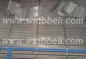 Stainless Steel Wire Ring Mesh Belt
