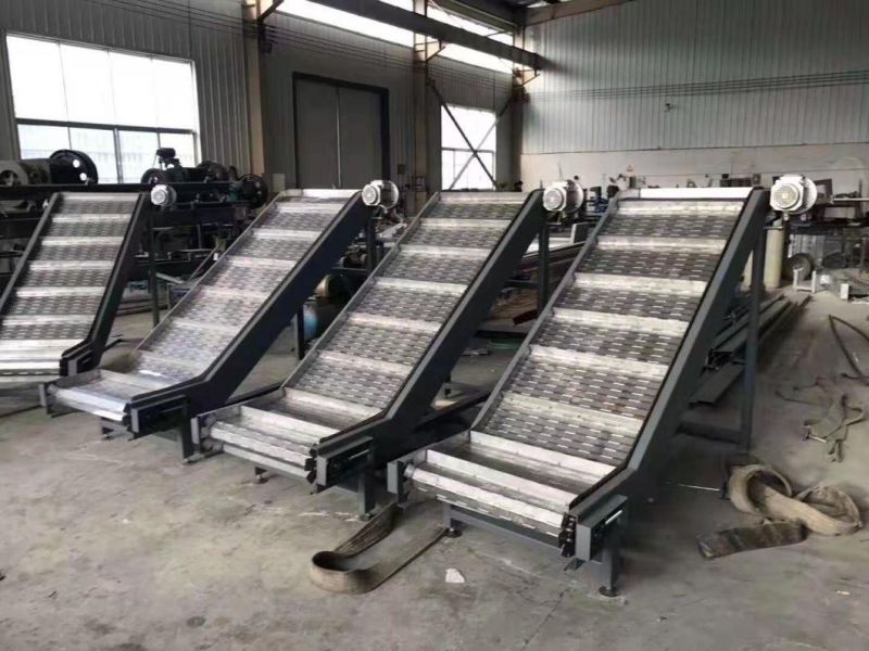 Industrial Use Hoisting Conveyor for Transfer Food and Other Goods