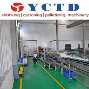 Chain Conveyor (YCTD)