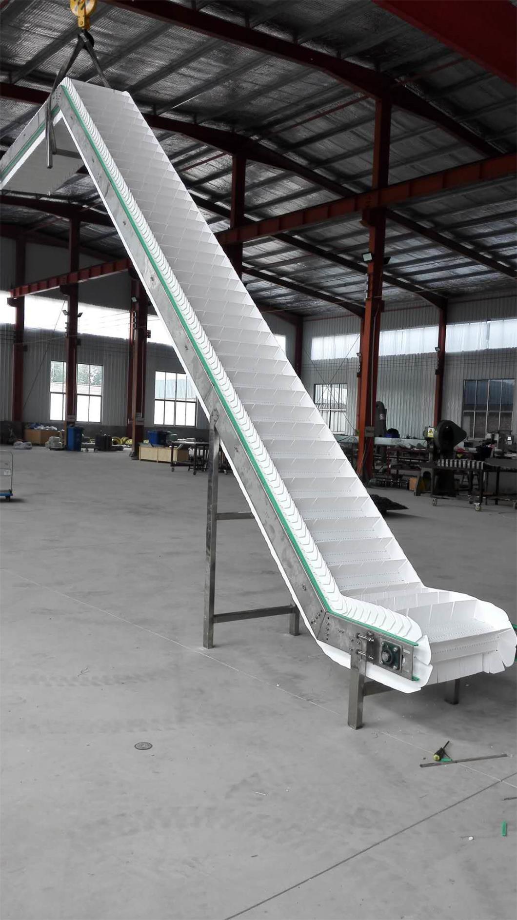 Flat Modular Plastic PVC Conveyor Mesh Belt for Food Industry