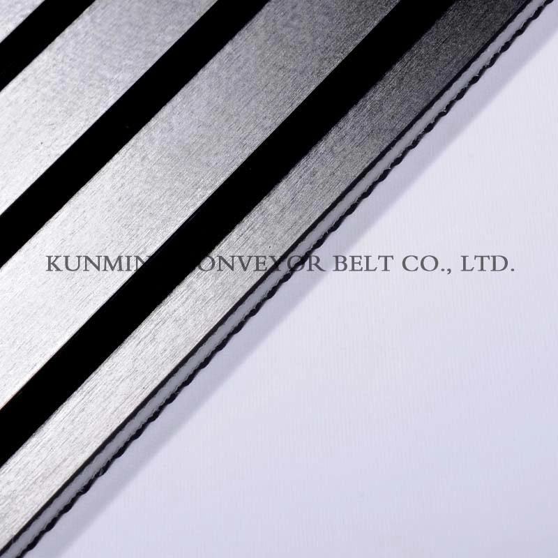 Conveyor Belt PVC Food Grade Light Industry (EM120/2: 0.5DT+3.0BLS/6.0B)