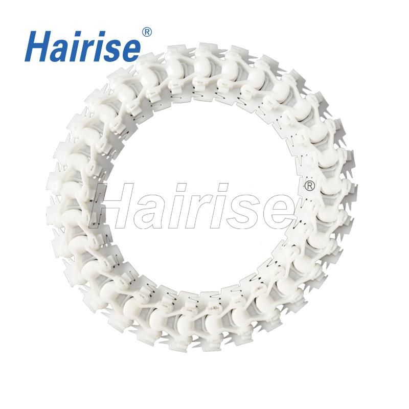 Hairise 2000 Plastic for S Type Curved Conveyor Transmission Belt