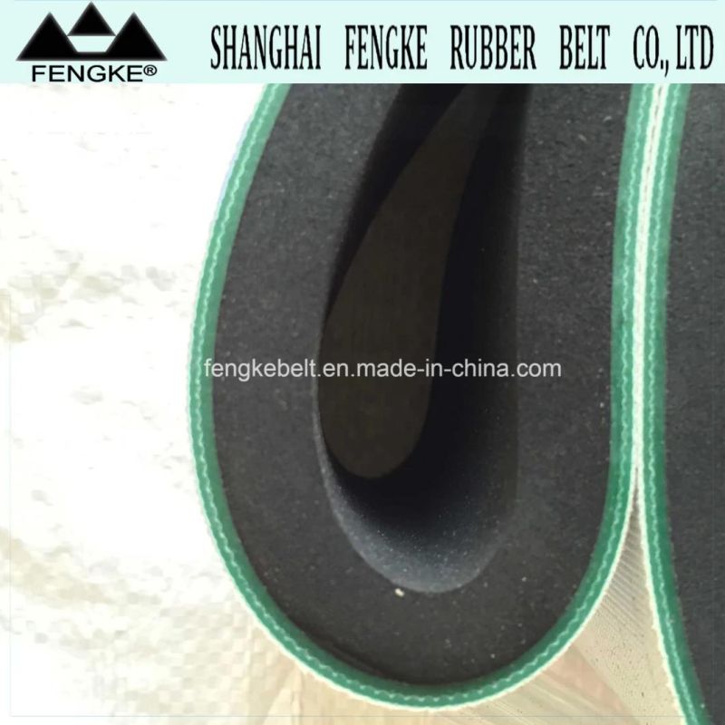 High Density Black Sponge Coating PVC Belts (2900X100X13)