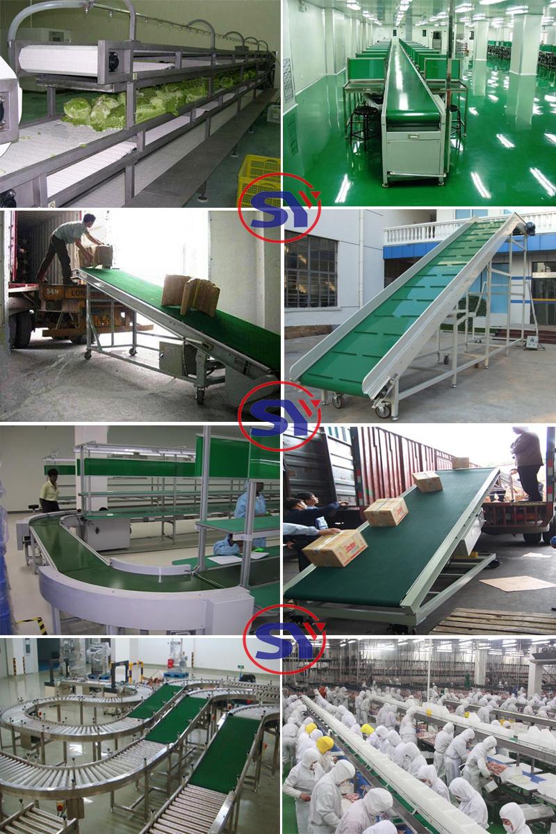 Sanitary Stainless Steel316 Rubber Belt Conveyor for Fruit Picking Sorting