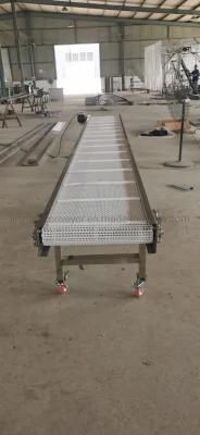 Manufacturer Plastic Mesh Belt Conveyor for Washing Food