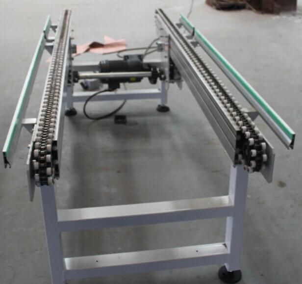 Chain Conveyor From Huzhou Factory